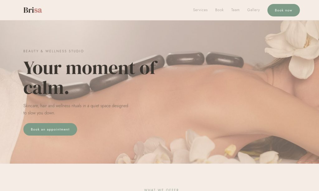 Brisa salon booking demo